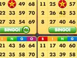 Playing with four cards in Bingo - Country Ways Bingo - Country Ways playing with four cards