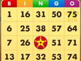 Gameplay of Bingo - Country Ways Bingo - Country Ways gameplay