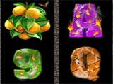 NLOP Casino Hot Hot Volcano Hot Hot Volcano in NLOP Casino