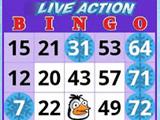Penguin Bingo Make the Penguin Happy on Lucky Bingo!