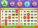 Bingo Nights Bingo Nights on Wingo Bingo!