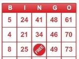 BINGO! Play Bingo on BINGO!