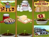 Farm Fair Slots in Wild Fortune Casino Wild Fortune Casino Farm Fair Slots