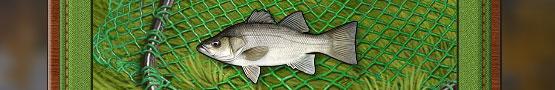 Sports Games Live - The Interest in Fishing Games Sports Games Live - The Interest in Fishing Games