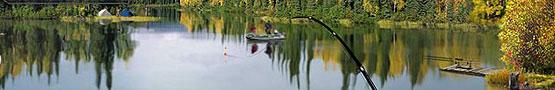 Sportovní hry živě - Staples in Fishing or Angling Sports Games Sportovní hry živě - Staples in Fishing or Angling Sports Games
