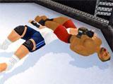 Wrestling Revolution 3D: Combo Moves Wrestling Revolution 3D: Combo Moves