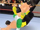 Wrestling in Wrestling Revolution 3D Wrestling in Wrestling Revolution 3D