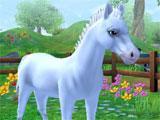 Star Stable Horses: Choosing a foal Star Stable Horses: Choosing a foal