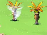 Tornado in Bonga Online Bonga Online Tornado