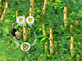 Harvesting Bamboo in Bonga Online Bonga Online Harvesting Bamboo