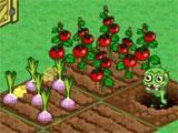 Harvesting crops in Zombie Farm 2 Harvesting crops in Zombie Farm 2
