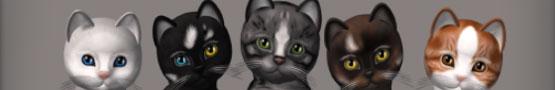Virtual Pets Virtual Pets
