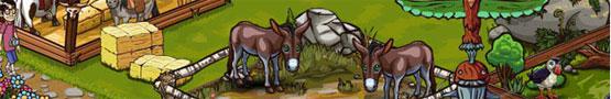 The Best Zoo Simulation Games The Best Zoo Simulation Games