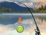Catch in Fishing Adventures Fishing Adventures Catch