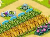 Beautiful farm in Golden Acres Golden Acres beautiful farm