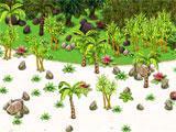 Exploring a new island in Paradise Valley Paradise Valley exploring a new island