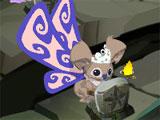 Temple of Trivia in Animal Jam Animal Jam Temple of Trivia