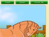 My Stable Wild Horse Find Horses in My Stable