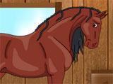 My Stable Stables Watch your horses in My Stable