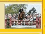 My Stable Show Show off your horse in My Stable