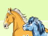 Adoption Page for Chicken Smoothie Chicken Smoothie Adoption Page