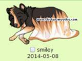Your Pets in Chicken Smoothie Chicken Smoothie Pets