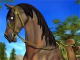 Amazing Star Stable Horse The Horses on Star Stable are amazing!