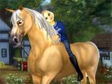 Beautiful Star Stable Horse We Love our Star Stable Horse