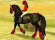 Star Stable game Star Stable game
