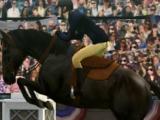 My Horse Jump Race in My Horse
