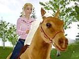 Let’s Ride: Silver Buckle Stables Let’s Ride: Silver Buckle Stables
