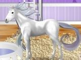 Bella Sara Breed Breed new horses in Bella Sara