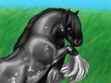 Little Horses Little Horses