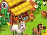 Horses Horses