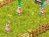 My Little Farmies gameplay Gameplay for My Little Farmies