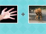 Pictoword: Game Play Pictoword: Game Play