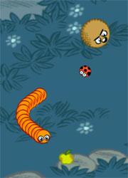 Doodle Grub Doodle Grub